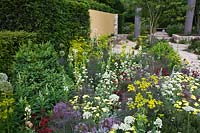 Le Daily Telegraph Garden conçu par Cleve West au RHS Chelsea Flower Show 2011
