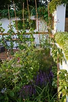 'The Potential Feast 'jardin comestible conçu par Raine Clarke-Wills et Fiona Godman-Dorington, RHS Hampton Court Flower Show 2011
