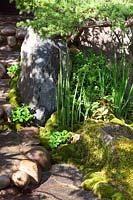 Détail de pierres avec mousse et feuillage dans un jardin de style japonais