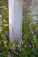 Combinaison de plantes vivaces rose pâle et blanc entourant un pilier dans un jardin contemporain