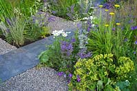 Un jardin contemporain avec des pavés de gravier et d'ardoise, des plantations bleu or et blanc. Concepteurs: Catherine Chenery, Barbara Harfleet
