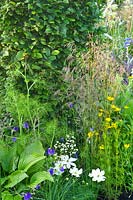 Parterre de jardin avec des herbes et des vivaces, y compris Deschampsia