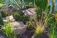 Jardin contemporain en pierre et gravier avec plantation de plantes succulentes et d'herbes