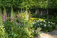 Des digitales, des pivoines et des charmes blanchis à l'appui, le jardin Husqvarna. Concepteur: Charlie Albone. RHS Chelsea Flower Show