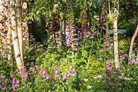 Le jardin botanique Hartley au RHS Chelsea Flower Show 2016. Designer: Catherine MacDonald. Commanditaire: Hartley Botanic. Décerné