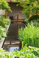 Le jardin Morgan Stanley pour l'hôpital Great Ormond Street au RHS Chelsea Flower Show 2016. Concepteur: Chris Beardshaw.