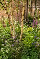 Le jardin botanique Hartley au RHS Chelsea Flower Show 2016. Designer: Catherine MacDonald. Commanditaire: Hartley Botanic. Décerné