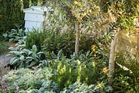 Petit jardin contemporain avec des oliviers et des plantes à feuillage argenté pour les conditions sèches
