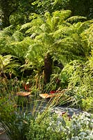 Dicksonia et Restio dans un petit jardin urbain avec une plantation et des sièges exotiques rustiques. RHS Hampton Court Designers Andrew Fisher Tomlin, Dan Bowyer