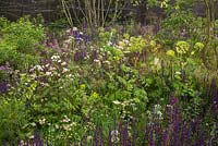 Le jardin Breaking Ground au RHS Chelsea Flower Show 2017. Parrain: Darwin Property Investment Management Ltd. Concepteurs: Andrew Wilson et Gavin