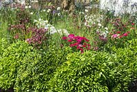 Le jardin Elements of Life au RHS Hampton Court Flower Show 2017. Concepteur: Bill Wilder. Sponsors: SRUK (Scleroderma et Raynaud's UK), Eskilstuna