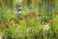 Le jardin du sanctuaire vivace. RHS Hampton Court Flower Show 2017. Concepteur: Tom Massey. Parrainé par Perennial. Décerné une médaille d'argent doré.