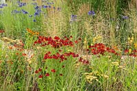 Le jardin du sanctuaire vivace. RHS Hampton Court Flower Show 2017. Concepteur: Tom Massey. Parrainé par Perennial. Décerné une médaille d'argent doré.