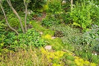 Le jardin des clairières de Londres au RHS Hampton Court Flower Show 2017. Concepteurs: Andreas Christodoulou et Jonathan Davies. Décerné une médaille d'or.