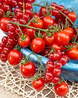 Solanum lycopersicum Tutti-Frutti Red Berry F1