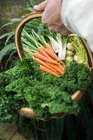 Corbeille pleine de micro-légumes, y compris carottes, poireaux, chicorée et suédois