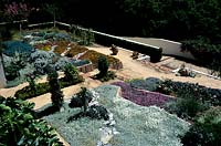 Jardin contemporain utilisant des succulentes modèles de plantation tolérants à la sécheresse Valentine Garden California conçu par Isabelle Greene