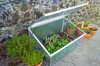 Cadre froid en verre protecteur de plantes en métal avec gamme de plantes à herbes de légumes à feuilles de salade