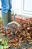 Ratisser les feuilles d'automne du seuil pour faire du compost