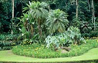 Parterre de fleurs avec des feuilles de palmiers Design de jardin par Roberto Burle Marx Brésil