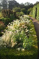 Jardin clos de Cambo, Fife, Ecosse, Royaume-Uni parterre d'herbe chemin de couverture Pennisetum villosum