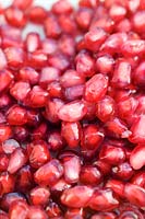 Close up de Grenade Punica granatum rose rouge couleur graines comestibles mûres
