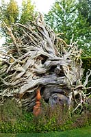Grande souche d'arbre aux racines torsadées