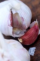 Bulbe d'ail (Allium sativum) à peau blanche et papyracée