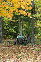 Impression d'automne avec tracteur