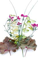 Heuchera Caramel, Vinca Illumination, Miscanthus sinensis Gracillimus, Dianthus Zing Rose