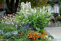 Parterres de fleurs comme plantation de rue Nicotiana, Cosmos, Tagetes, Savlia, Senecio