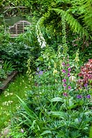 Le jardin d'Helen Banbury, Bristol, Royaume-Uni. petit jardin de ville, design contemporain et rempli de plantes, (PR disponible)