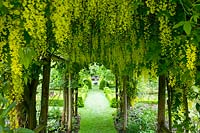 Cerney House Gardens, Gloucestershire, Royaume-Uni. (Sir Michael et Lady Angus) vue jusqu'au cadran solaire avec tunnel Laburnum