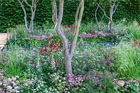 Le Jardin Laurent Perrier conçu par Luciano Guibillei au Chelsea Flower Show 2011