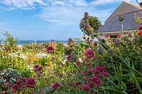 Roger et Helen Grimes 'jardin à Beesands, Devon en plein été. Jardin de bord de mer coloré avec beaucoup d'annuelles.