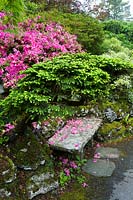 Compton Acres, Dorset, Royaume-Uni. Le jardin à thème japonais, pétales tombés sur un banc en pierre
