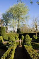 Cothay Manor Garden (Somerset) au printemps (Robb) Topiaire d'if et de troène autour d'un étang formel, (PR disponible)