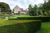 Derry Watkins Garden at Special Plants, Bath, Royaume-Uni Coupure d'if avec une grande pelouse