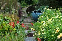 Derry Watkins Garden at Special Plants, Bath, Royaume-Uni, plantation de fin d'été avec pot d'Argryanthemum 'Jamaica Primrose' et Schizostylis 'Major'