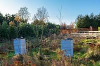 East Ruston Old Vicarage Gardens, Norfolk, hiver (Alan Gray et Graham Robeson). Ruches d'abeilles