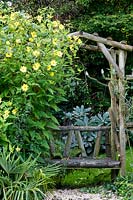 Le jardin de Jackie Healy près de Chepstow. Jardin au début de l'automne. Tonnelle en bois rustique avec Helianthemum 'Lemon Queen'
