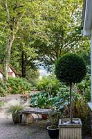 Le jardin de Jackie Healy près de Chepstow. Jardin au début de l'automne. Patio avec 'sucette' topiaire en pot et banc en pierre