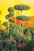 Exposition florale de Hampton Court, 2017. Jardin Journey Of Life, des. Edward Mairis. Plantes topiaires nuage dans le jardin de la cour très colorée, avec des murs en acrylique