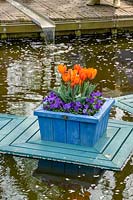 Jardins de Keukenhof, Pays-Bas. Affichage de printemps des ampoules dans le parc. Tulipes dans des pots en bois flottants