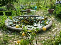 Jardin Parterre avec petit étang circulaire et nénuphars à Locanda Casanuova, Toscane, Italie
