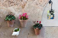 Pots muraux d'annuelles colorées n Valdemossa, Majorque, Espagne.