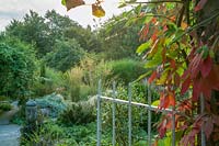 Jardin Pinsla, Cornwall, UK. Fin de l'été, plantation informelle d'herbes, vue à travers la passerelle