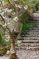 Milton Lodge, Wells, Somerset (Tudway-Quilter) jardin de printemps avec Prunus 'Taihaku' (Great White Cherry) et cadran solaire