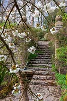 Milton Lodge, Wells, Somerset (Tudway-Quilter) jardin de printemps avec Prunus 'Taihaku' (Great White Cherry) et cadran solaire