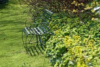 Milton Lodge, Wells, Somerset (Tudway-Quilter) jardin de printemps avec élégant banc en métal